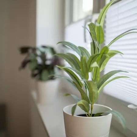 Daire Hugos Design Am Waldrand - Ruhig & Modern Bensheim